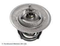 Thermostat, Kühlmittel