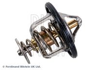 Thermostat, Kühlmittel