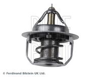 Thermostat, Kühlmittel