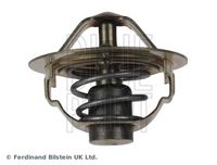 Thermostat, Kühlmittel
