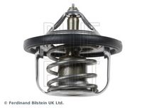 Thermostat, Kühlmittel