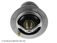Thermostat, Kühlmittel