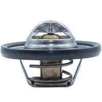 Thermostat, Kühlmittel