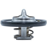 Thermostat, Kühlmittel