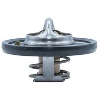 Thermostat, Kühlmittel