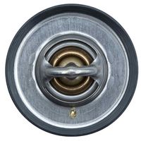 Thermostat, Kühlmittel