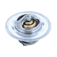 Thermostat, Kühlmittel