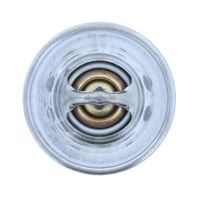 Thermostat, Kühlmittel