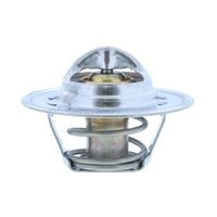 Thermostat, Kühlmittel