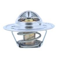 Thermostat, Kühlmittel