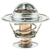 Thermostat, Kühlmittel