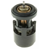 Thermostat, Kühlmittel