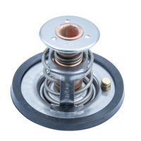 Thermostat, Kühlmittel