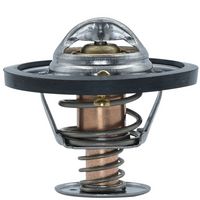 Thermostat, Kühlmittel