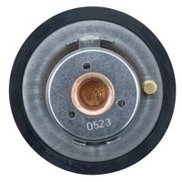 Thermostat, Kühlmittel