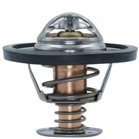 Thermostat, Kühlmittel