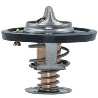 Thermostat, Kühlmittel