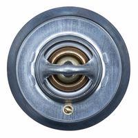 Thermostat, Kühlmittel