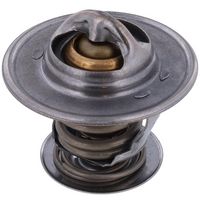 Thermostat, Kühlmittel