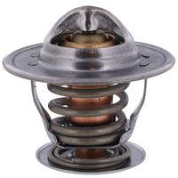 Thermostat, Kühlmittel