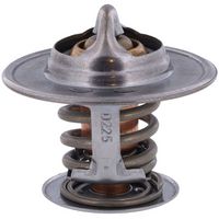 Thermostat, Kühlmittel