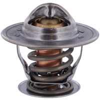 Thermostat, Kühlmittel