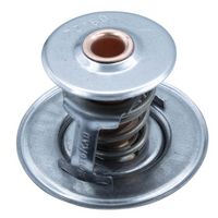 Thermostat, Kühlmittel