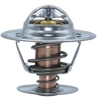 Thermostat, Kühlmittel