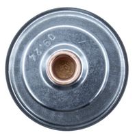 Thermostat, Kühlmittel