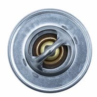 Thermostat, Kühlmittel