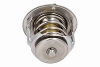 Thermostat, Kühlmittel