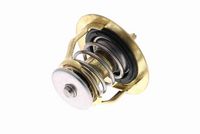 Thermostat, Kühlmittel