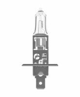 Glühlampe