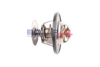Thermostat, Kühlmittel