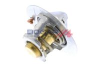 Thermostat, Kühlmittel