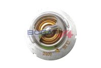 Thermostat, Kühlmittel