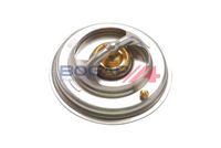 Thermostat, Kühlmittel