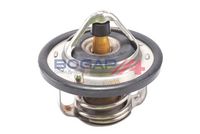Thermostat, Kühlmittel