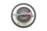 Thermostat, Kühlmittel