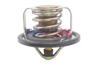 Thermostat, Kühlmittel