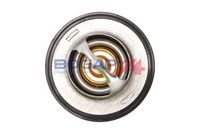 Thermostat, Kühlmittel