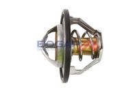 Thermostat, Kühlmittel