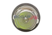 Thermostat, Kühlmittel