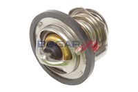 Thermostat, Kühlmittel