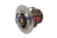 Thermostat, Kühlmittel