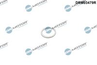 Dichtring
