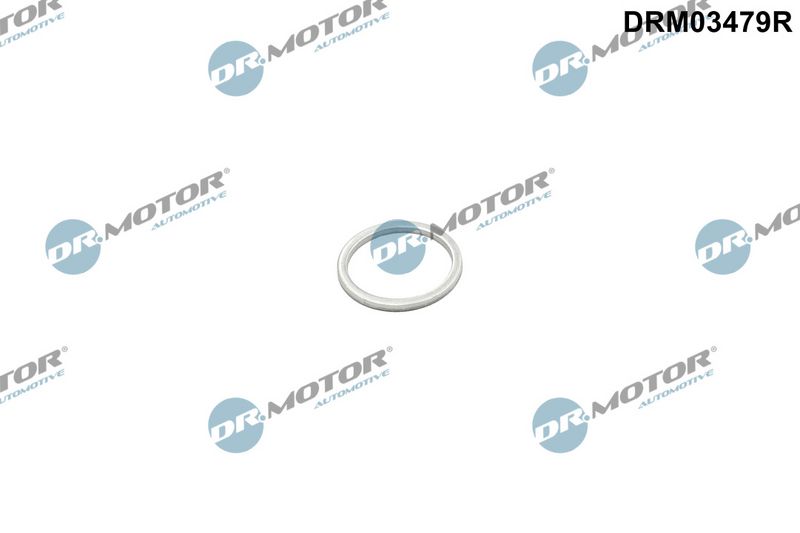 Dichtring