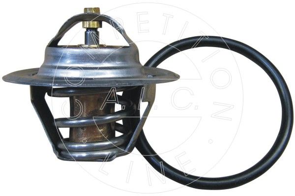 Thermostat, Kühlmittel
