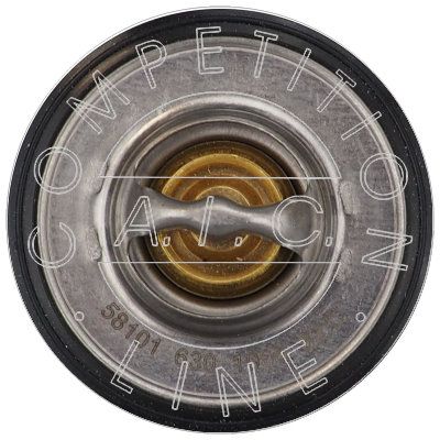 Thermostat, Kühlmittel
