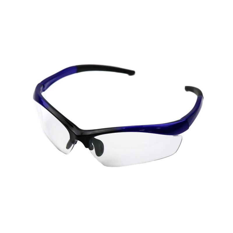 Schutzbrille